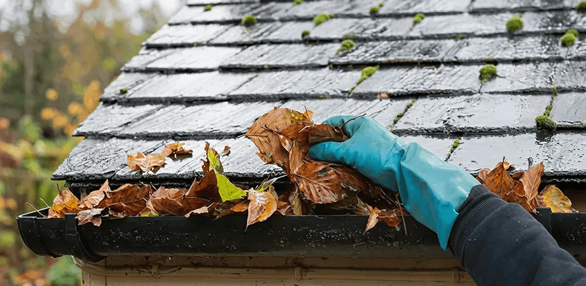 Gutter cleaning technician clearing wet leaves from roof gutters in San Francisco, CA